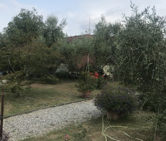 Ricerca perdita acqua tubazione